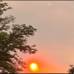 Meet your Posher, Abigail